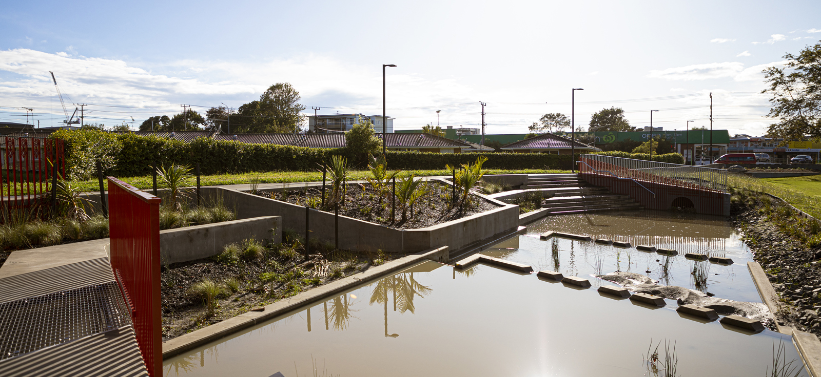 biodiversity Te Ara Awataha Greenway - photo Auckland Council