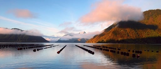 Aquaculture NZ