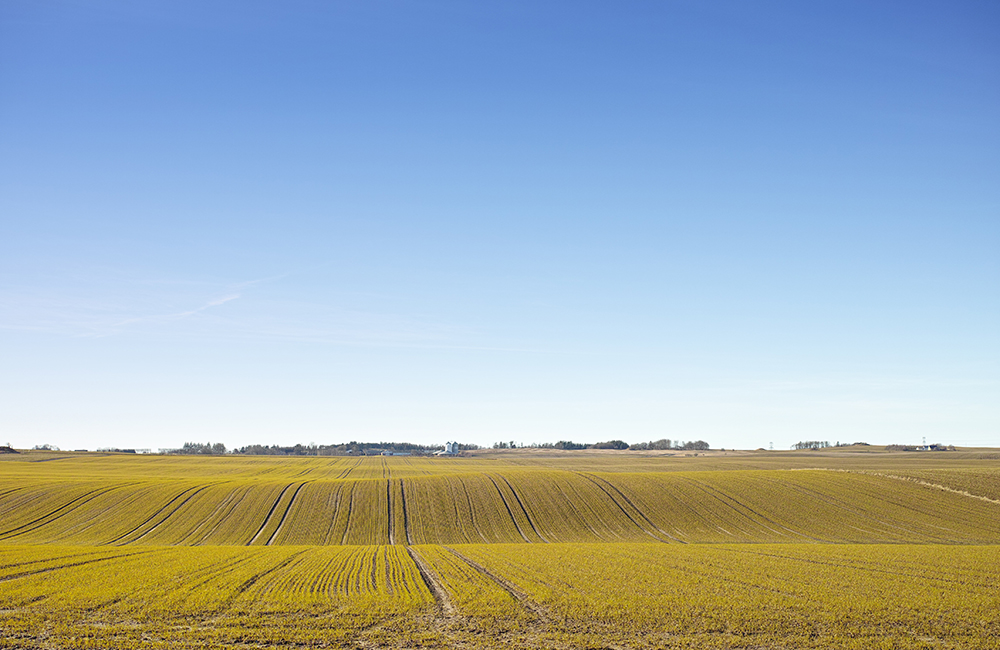img-overvann-danmark-wsp-norden