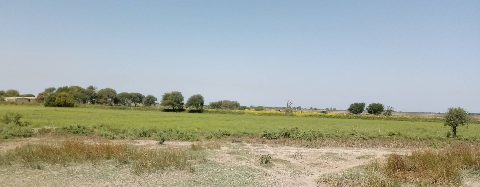site-assessment