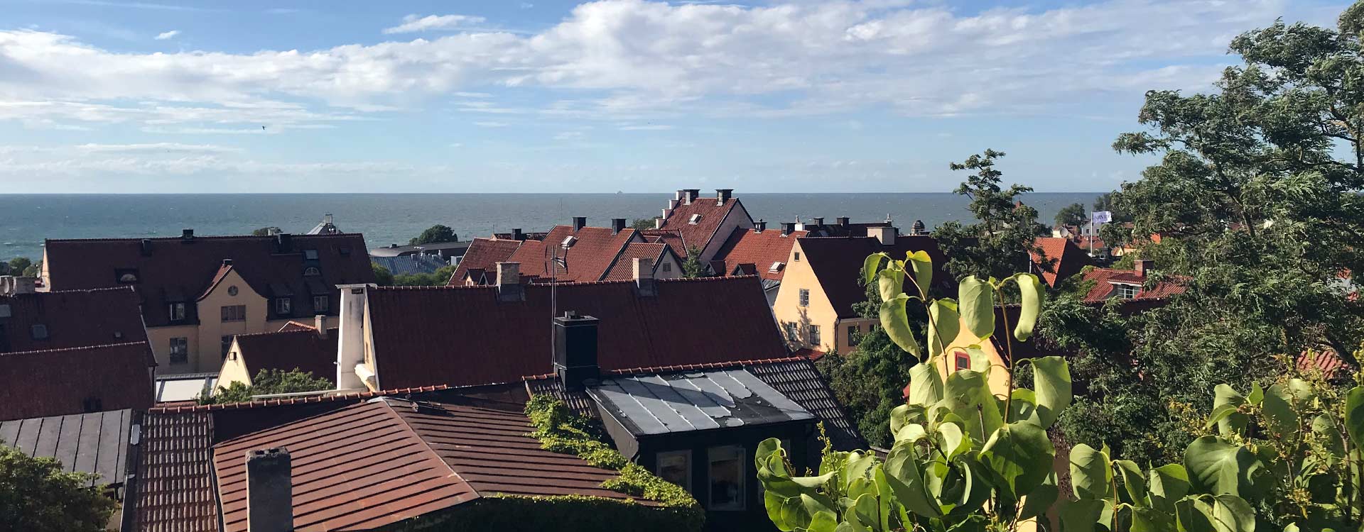 Vy över Visby innerstads hustak.