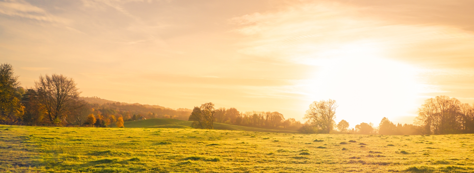 banner-nature-positive