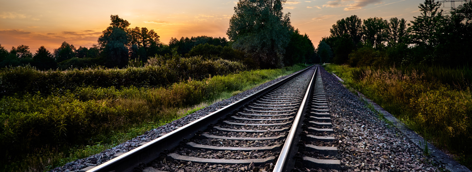 Train Track - Nature