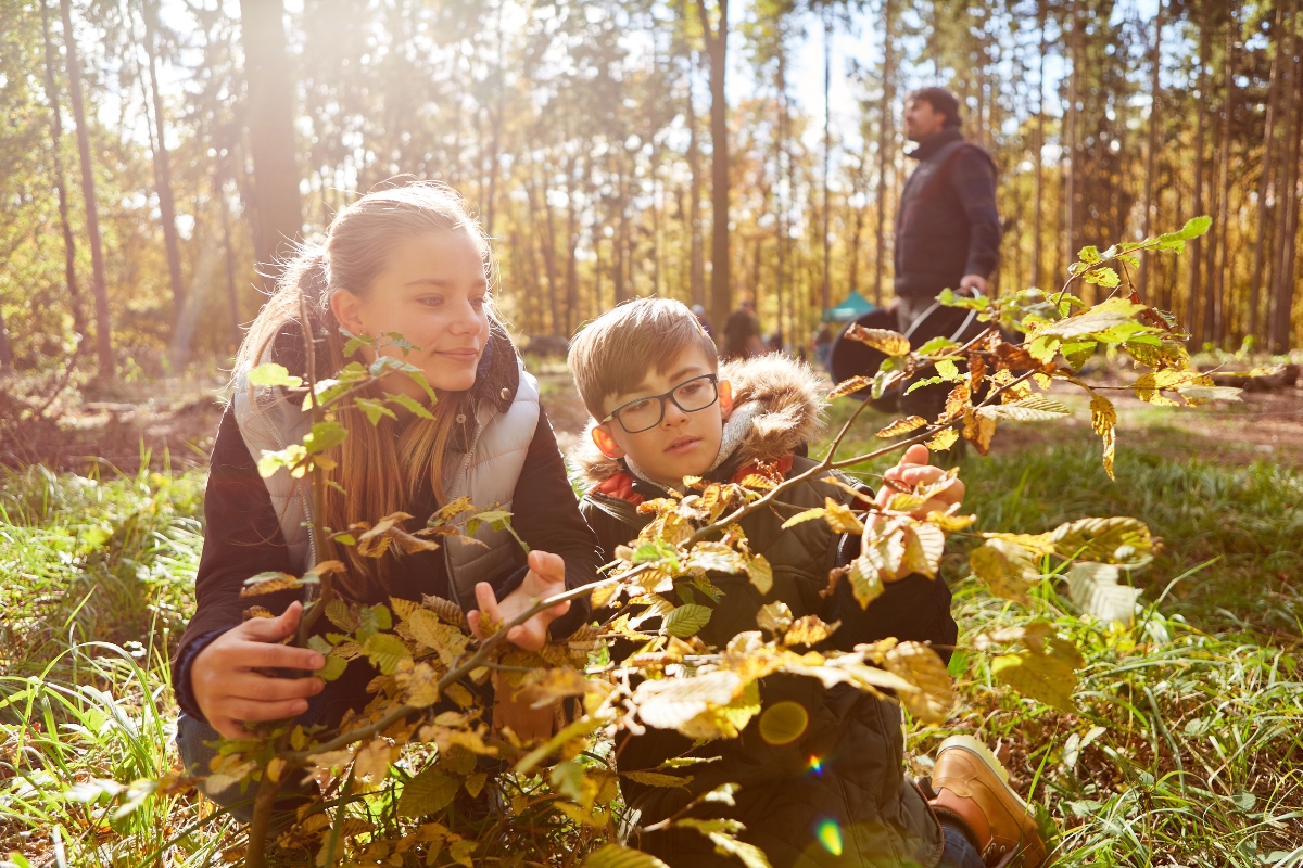 in-page-ecology-apprenticeships
