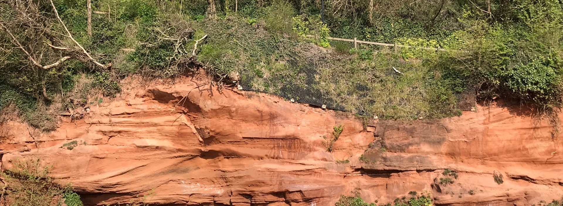 Exposed Triassic rocks that are potentially a CCS target in the subsurface updated banner image