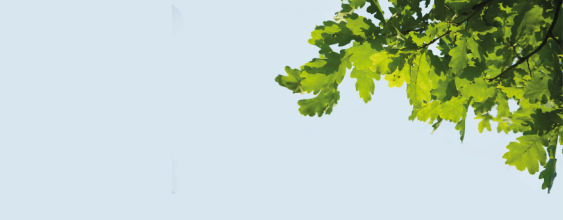 defining net zero thn