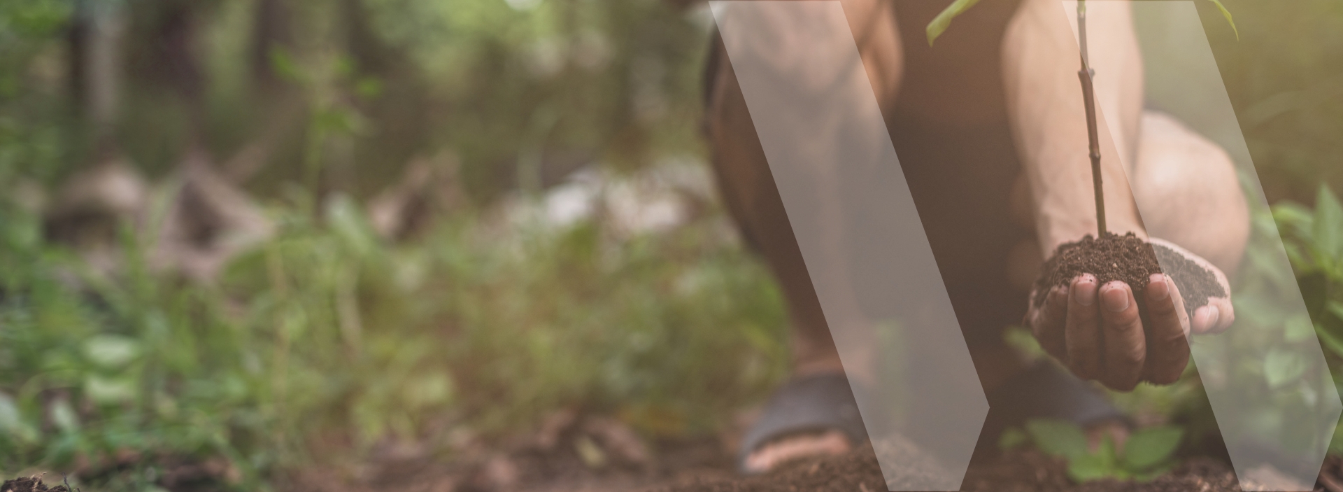 hero-banner-nature-positive-report_(1)