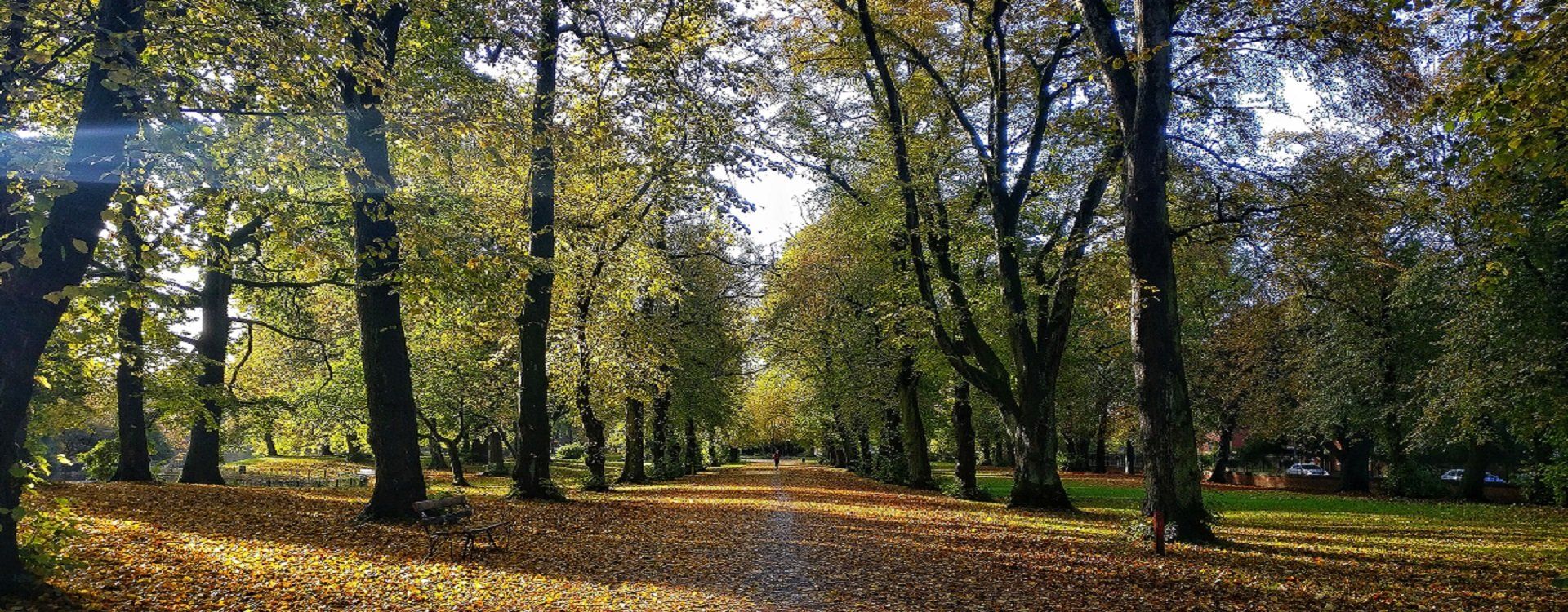 Urban parks 1920 x 750
