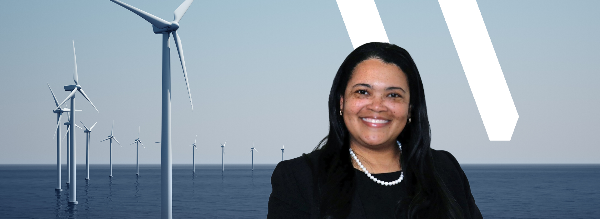 bnr-wsp-wind-power