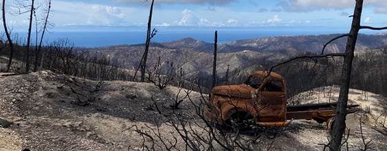 thn-calrecycle-debris-removal-wildfire