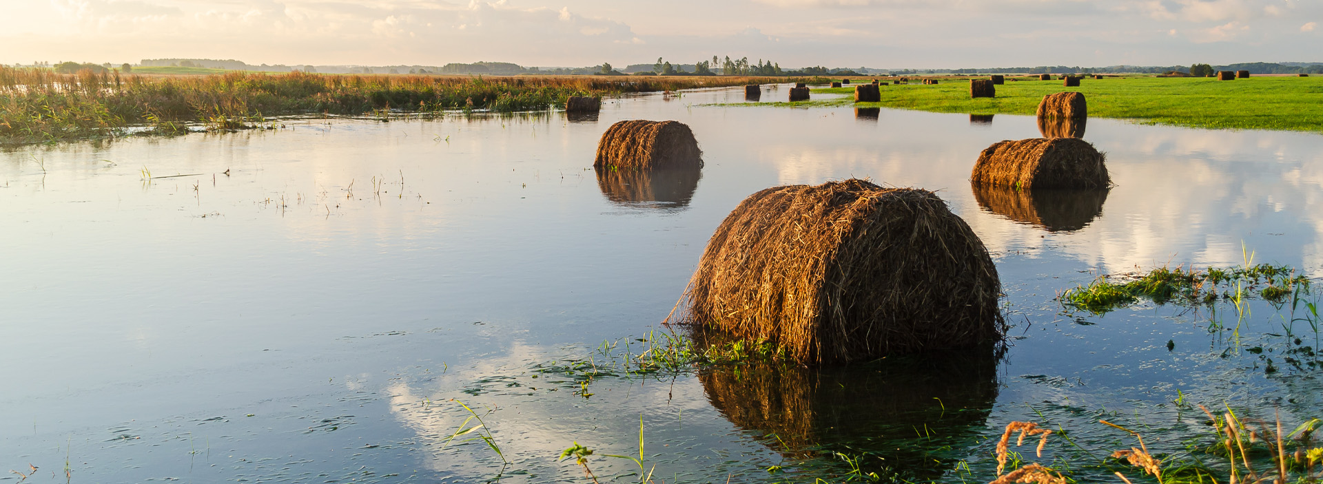 bnr-climate-change-financial-impact