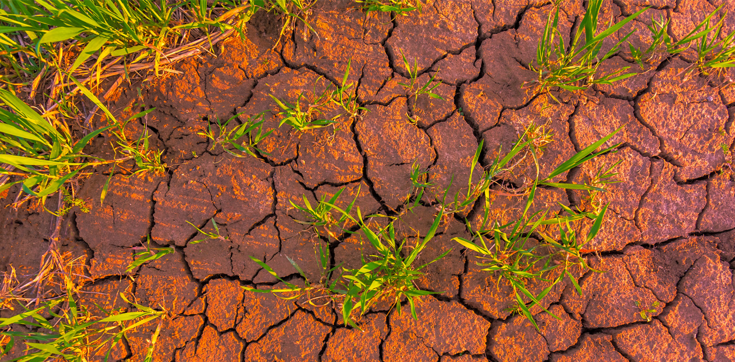 img-climate-change-financial-impact-drought