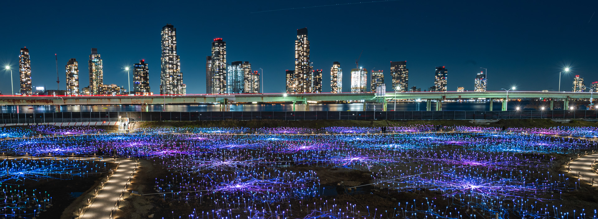 bnr-field-of-light-nyc