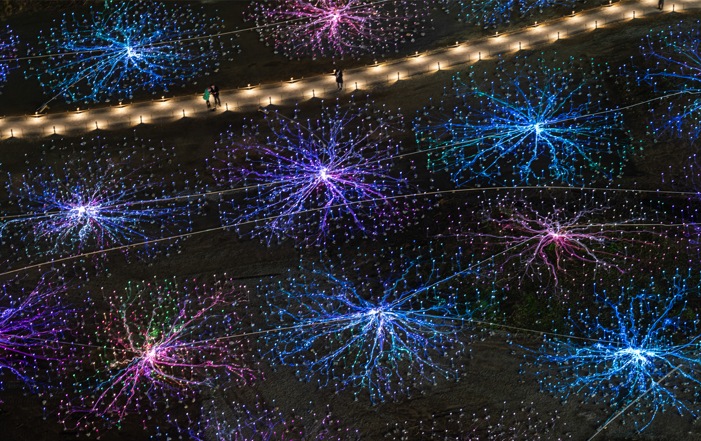 img-field-of-light-nyc-stars