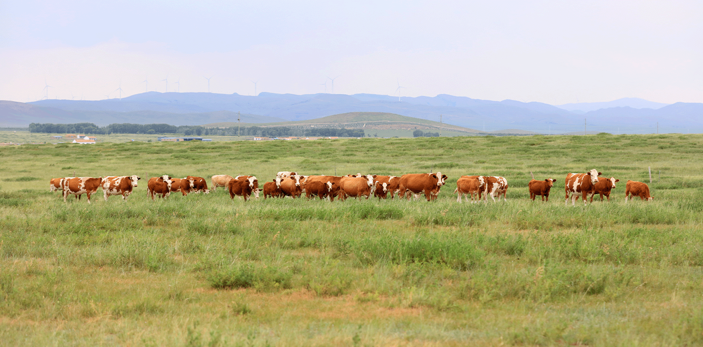 img-lcas-ei-animal-based-agriculture