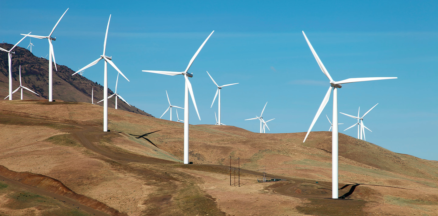 Ms Environment Microsoft Adds Environmental Justice to Renewable Energy Plans | WSP