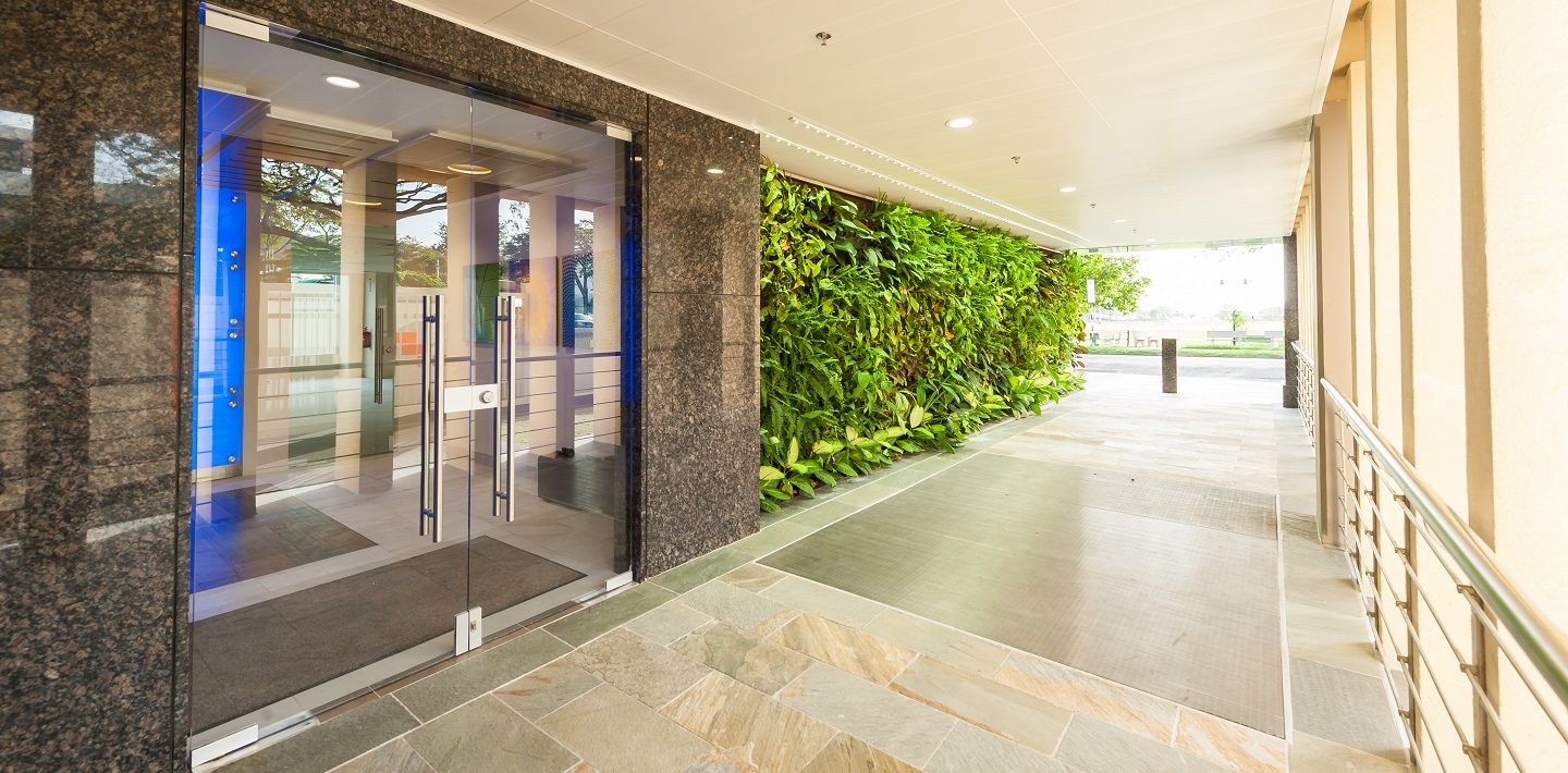 img-savannah-east-green-building-trinidad-and-tobago-green-wall