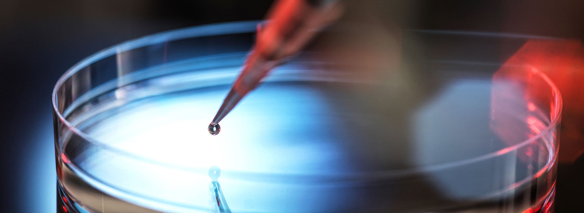 bnr-global-biosafety