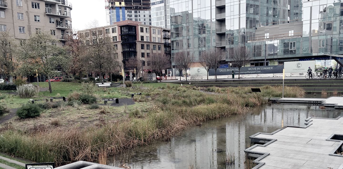img-surface-water-portland-park-drainage-basin