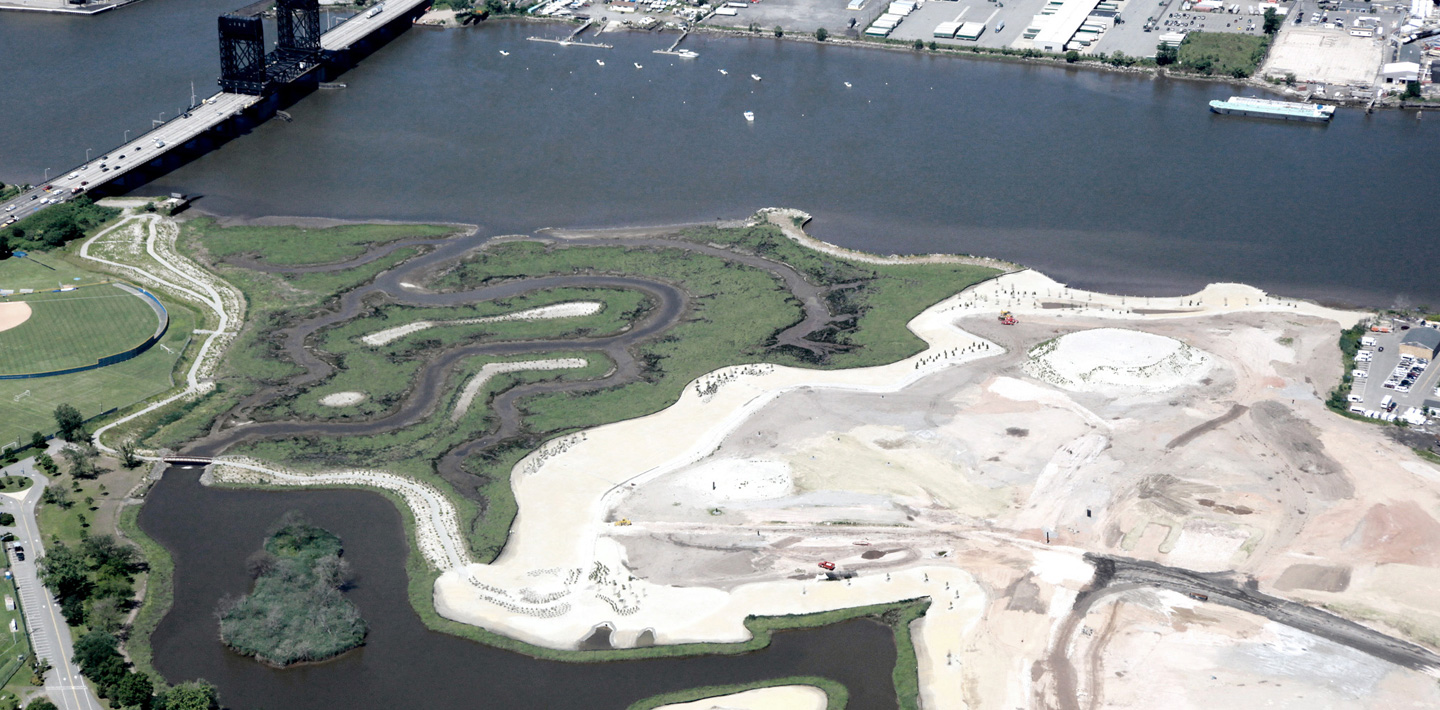 img-un-decade-of-ecosystem-restoration-lincoln-park