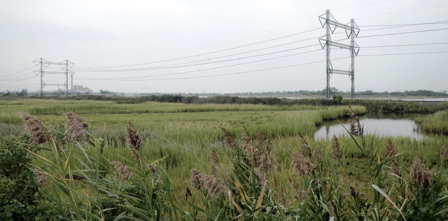img-un-decade-of-ecosystem-restoration-sawmill-creek