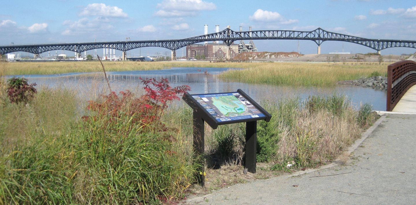 img-un-decade-of-ecosystem-restoration-2-lincoln-park-tidal-wetlands