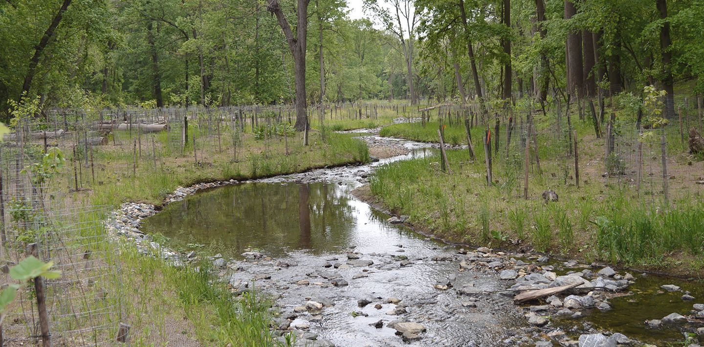 img-un-decade-of-ecosystem-restoration-2-slaughterhouse