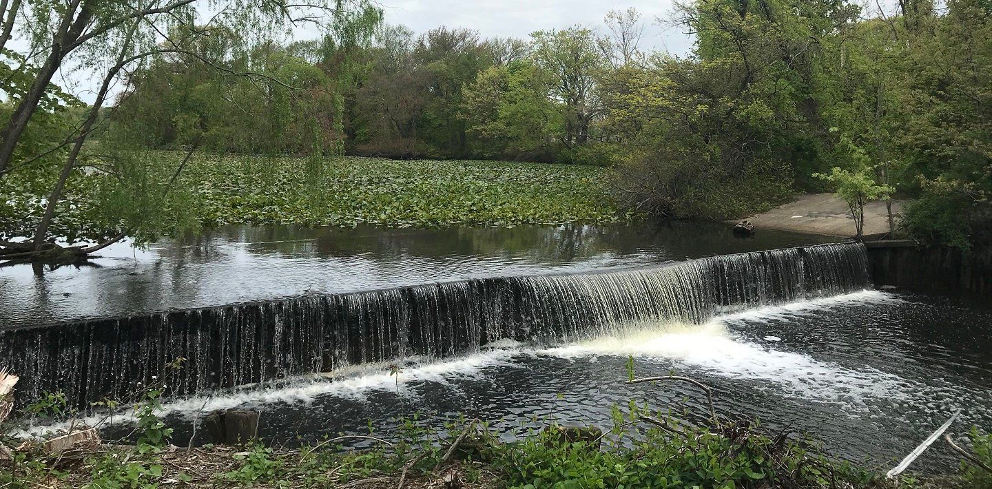 img-un-decade-of-ecosystem-restoration-2-smith-pond-rehabilitation