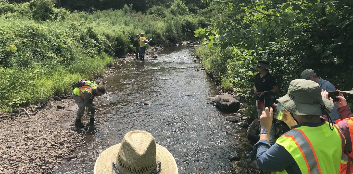 img-un-decade-of-ecosystem-restoration-2-watergate-nps-staff