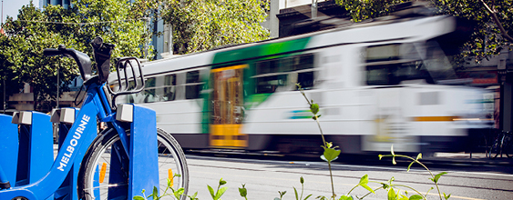 thn-melbourne-tram-city-bicycle