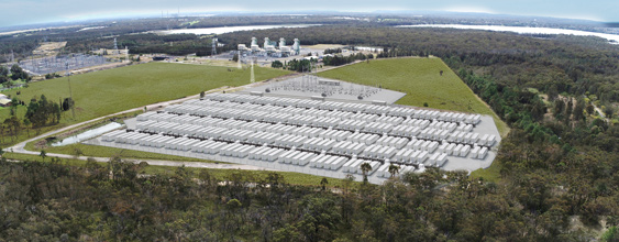 thn-waratah-super-battery