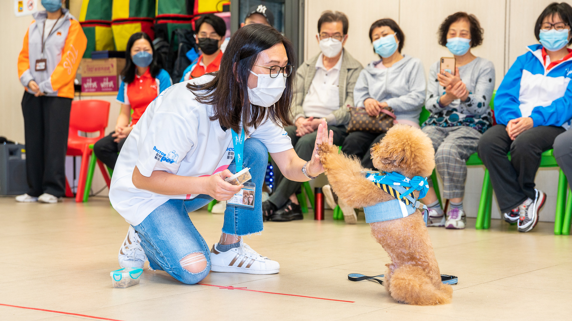 img-csr-doctor-pet-3