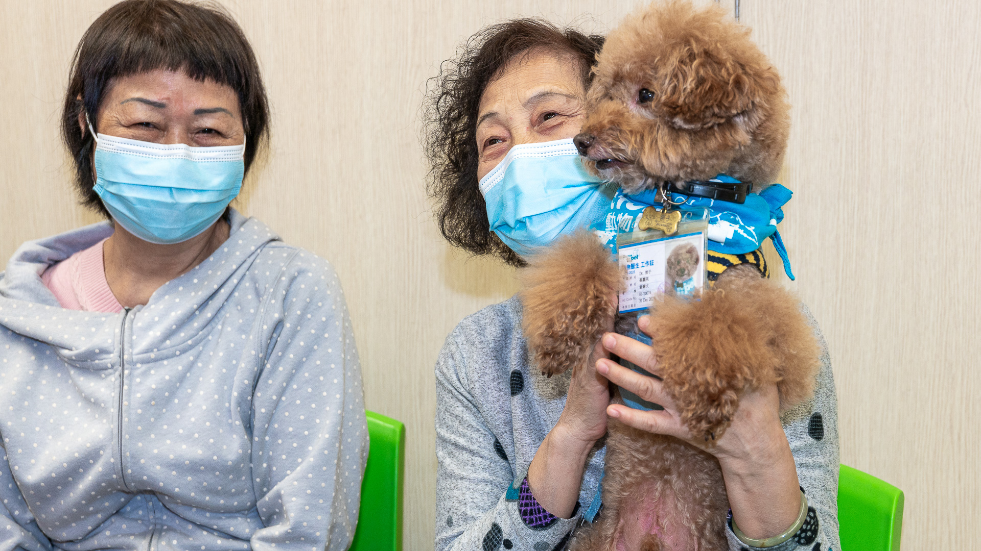 img-csr-doctor-pet-6