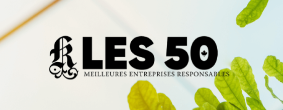 Thn-Website-Corporate-Knights-Generic-FR