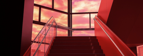 thn WSP brand photo staircase