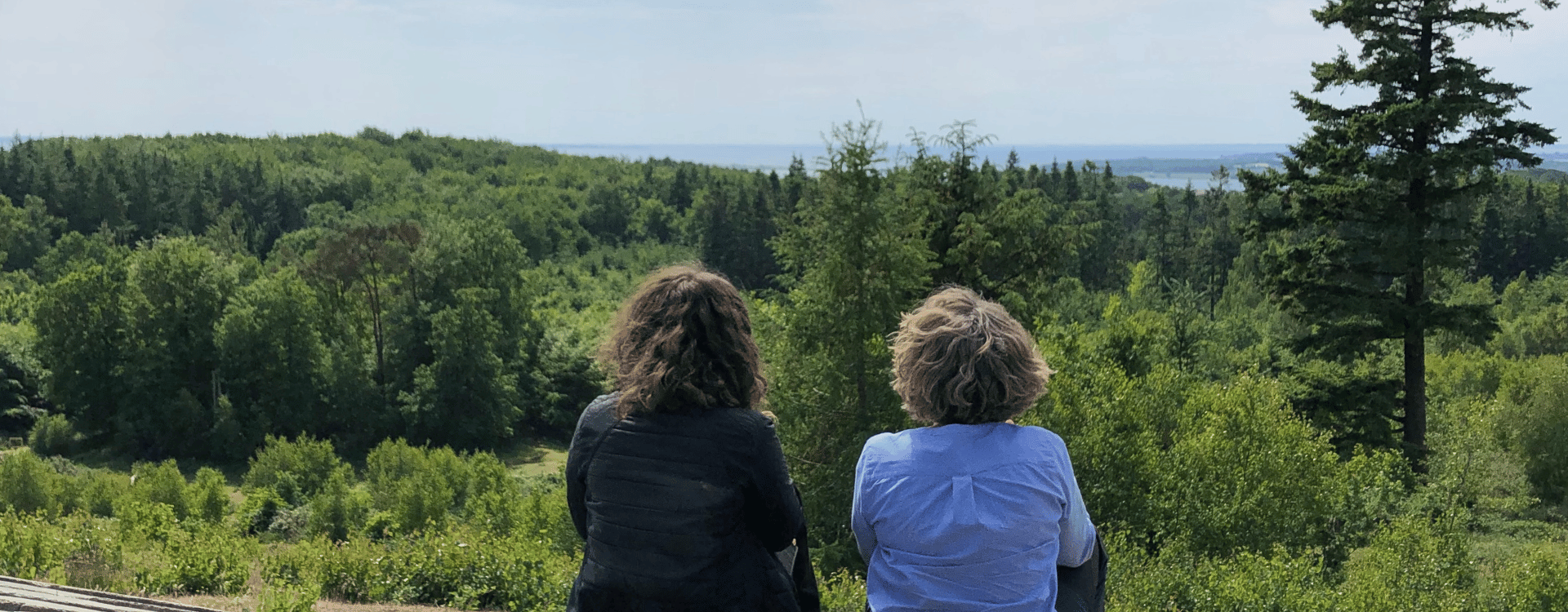 BNR-Svanninge-Bjerge