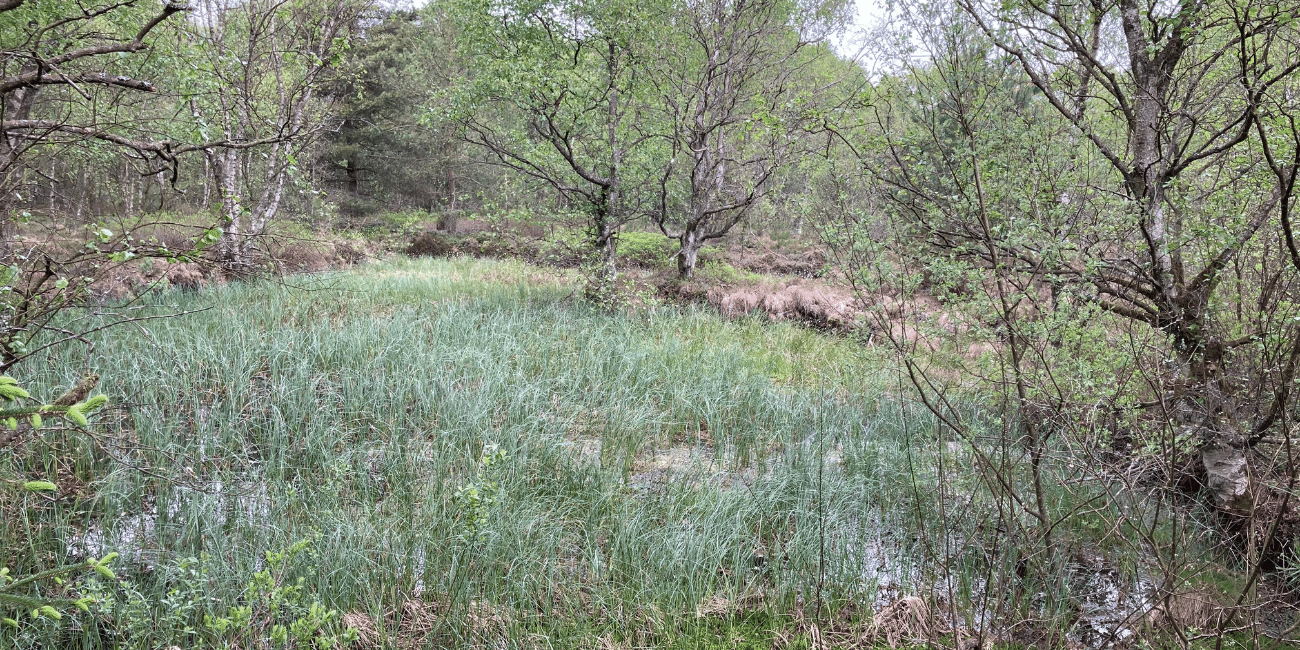 IMG-Lavbund-4