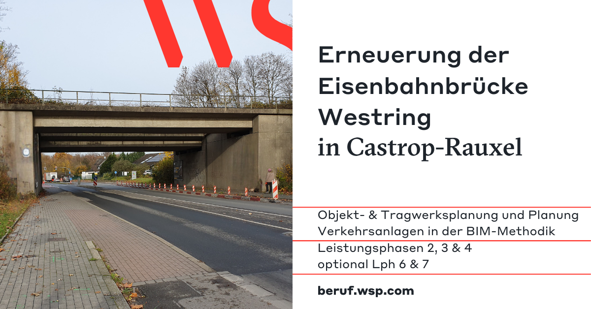social-EUe-Westring