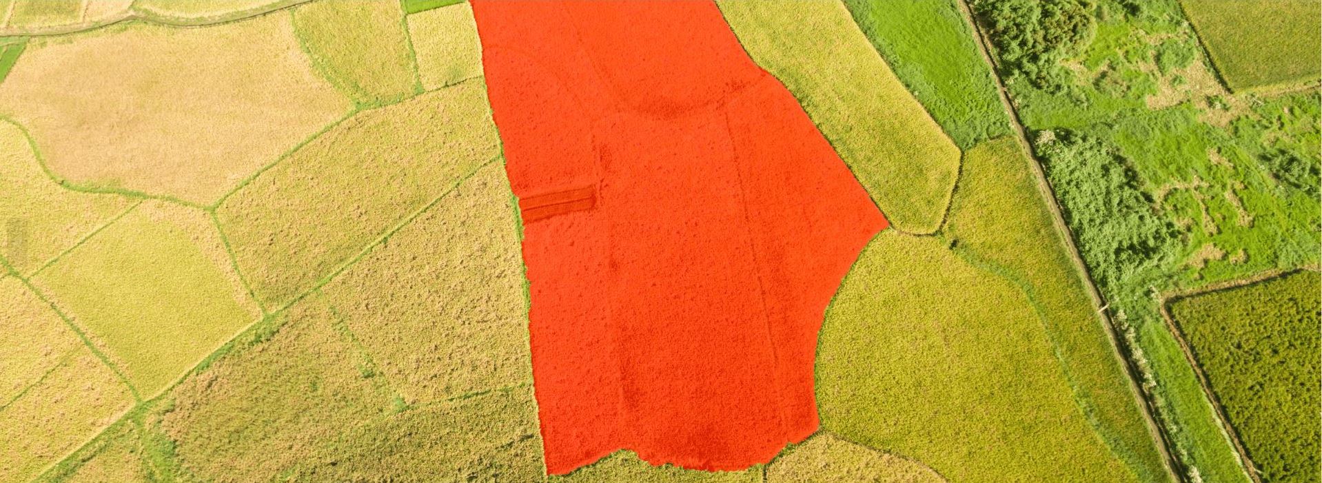 Lidar HeroImage