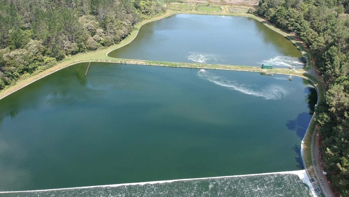img-wwtp-paihia