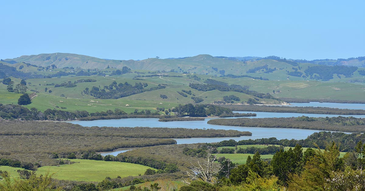 Kaipara District Council Climate Change Risk Assessment | WSP