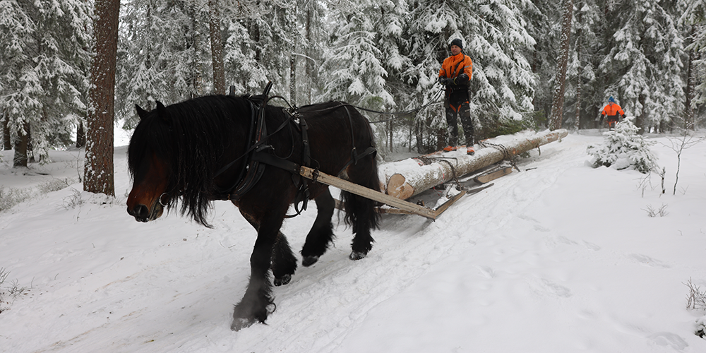 Content image - gamle metoder