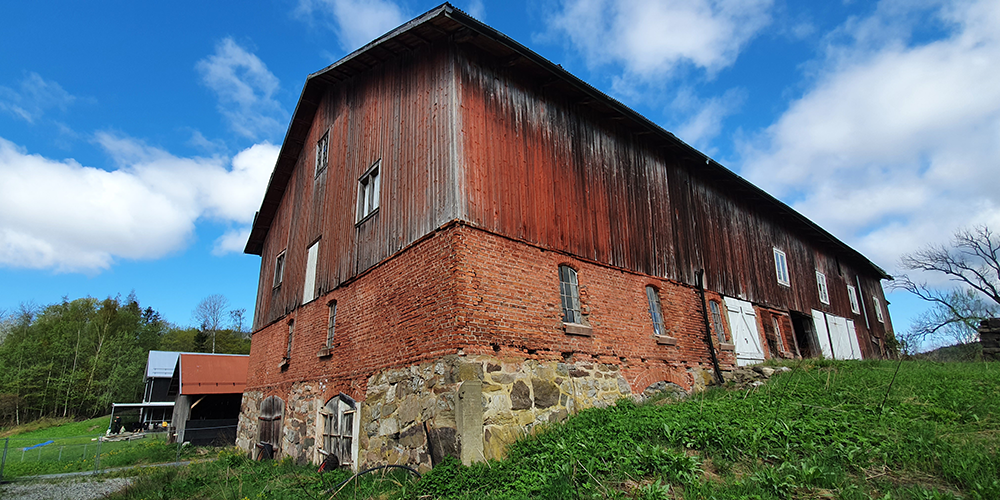 content image-gammel lve