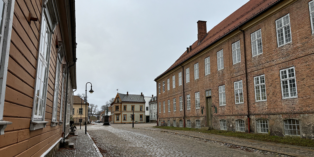 gamlebyen-rehabilitering-wsp