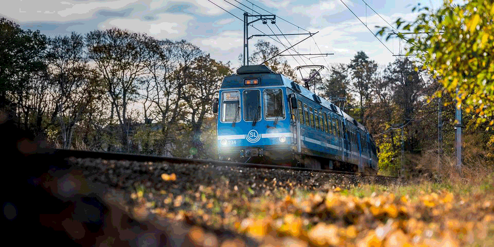 Roslagsbanan som åker på spåret med löv runt om.