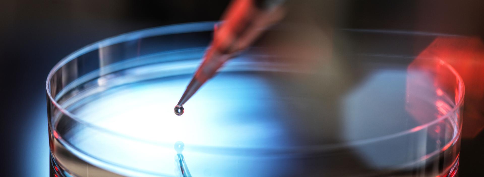 bnr-pipetting-sample-into-petri-dish-at-laboratory