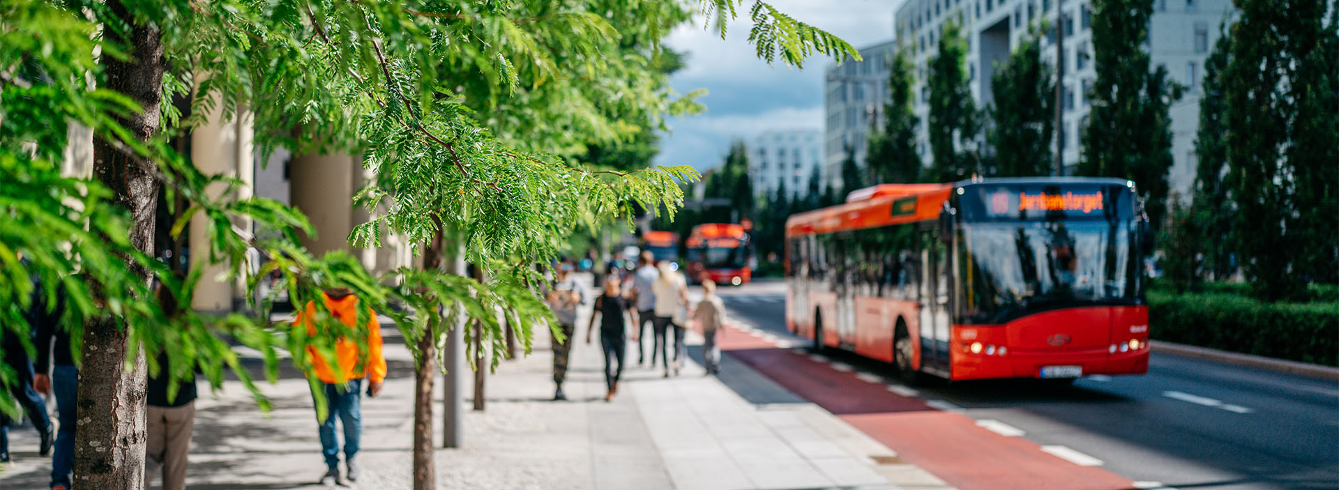 bnr-rod buss_AdobeStock_450915467
