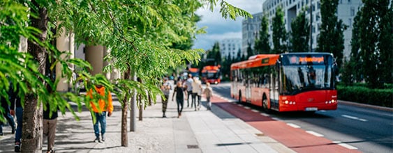thn-rod buss_AdobeStock_450915467