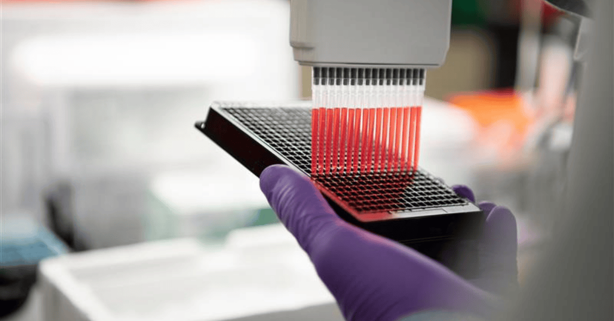 WSP to help European Commission in chemical substitution network | WSP