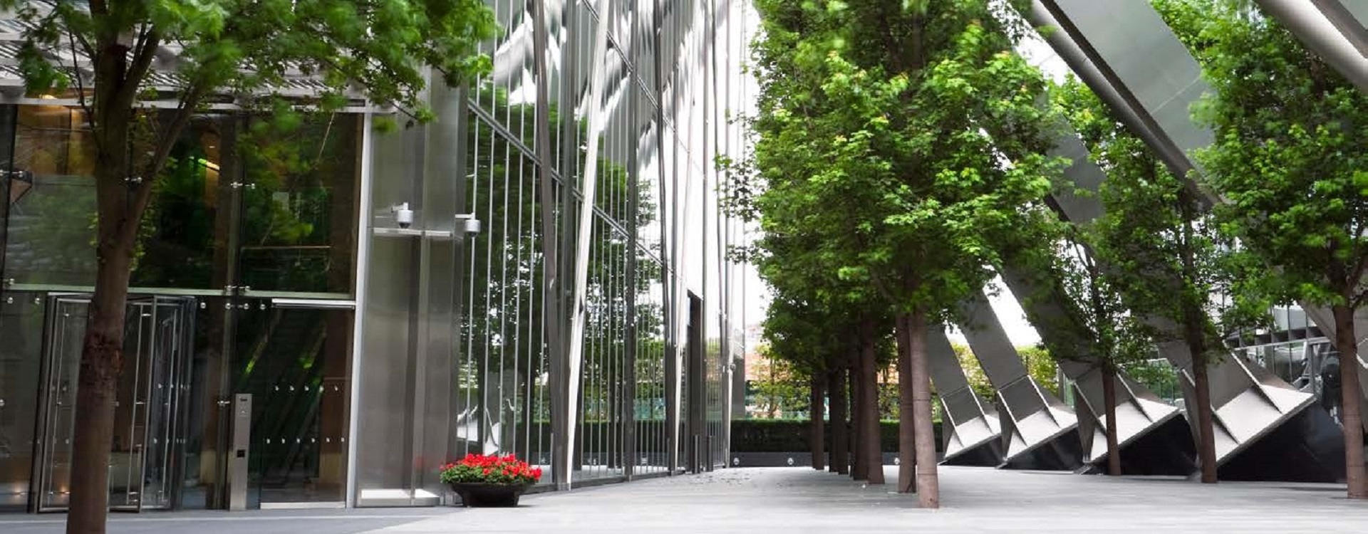 Green trees and buildings 1920 x 750